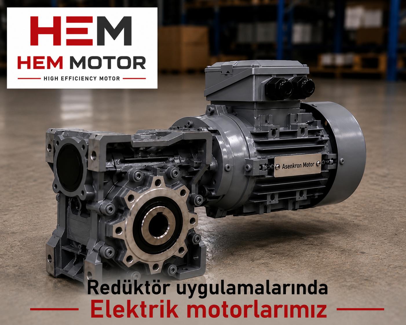 Standard electric motor connected to a PAM-flanged worm-gear reducer